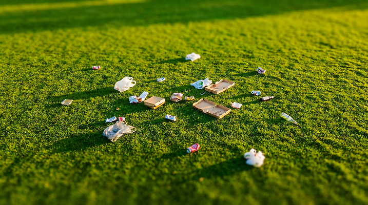 JPG 편집이미지 공원 지구 자연 잔디 환경 청결 재활용 쓰레기통 오염 쓰레기 플라스틱 청소 지역사회 편집실사 AI컴퓨터그래픽 AI콘텐츠 식물 공공시설 재질 위생 CG 친환경 생태계 파일형식