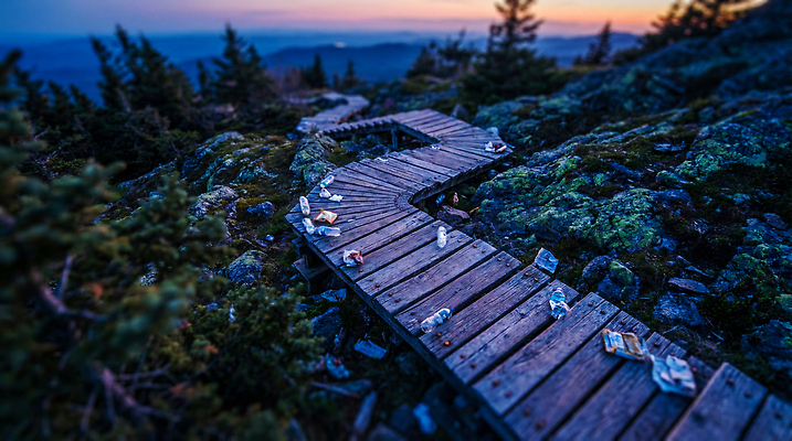 JPG 나무 편집이미지 길 자연 하늘 산 풍경 환경 보행자 오염 쓰레기 저녁 나무길 보호구역 편집실사 AI컴퓨터그래픽 AI콘텐츠 식물 야간 CG 생태계 구역 파일형식