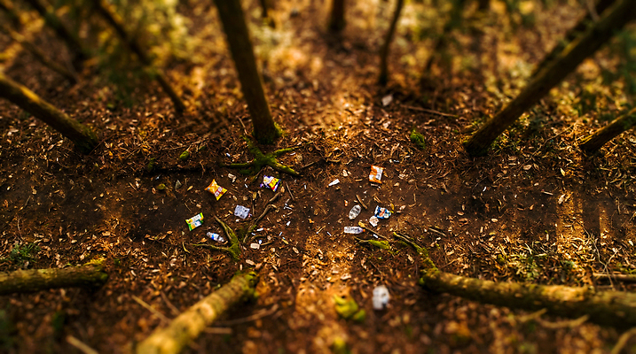 JPG 나무 편집이미지 길 자연 나뭇잎 환경 흙 산책로 오염 쓰레기 숲 줍기 편집실사 AI컴퓨터그래픽 AI콘텐츠 식물 잎 모션 CG 생태계 파일형식