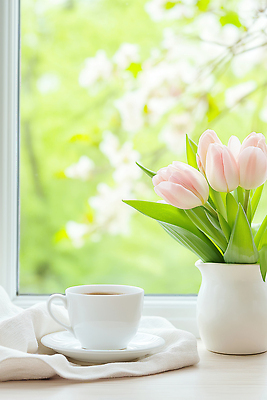 JPG 나무 편집이미지 꽃 커피 음료 분홍색 자연 탁자 아침 잔 일상 초록색 꽃병 봄 튤립 창가 편집실사 AI컴퓨터그래픽 AI콘텐츠 주간 식물 식기 계절 컬러 가구 창문 라이프 CG 생태계 파일형식