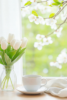 JPG 식물 편집이미지 꽃 커피 자연 아침 햇빛 정원 꽃병 공백 튤립 찻잔 집중 창가 향기 습관 편집실사 AI컴퓨터그래픽 AI콘텐츠 주간 음료 컨셉 창문 잔 태양 CG 생태계 냄새 파일형식