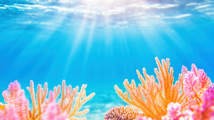 JPG 편집이미지 바다 컬러 자연 생물 어류 물 햇빛 바닷속 해저 수중 수중동물 산호 산호초 이미지편집 AI컴퓨터그래픽 AI콘텐츠 자연요소 동물 태양 수중식물 자포동물 생태계 파일형식