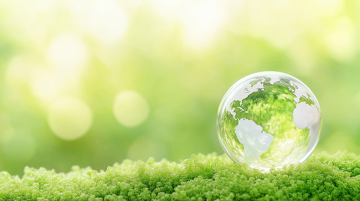 JPG 식물 편집이미지 지구 백그라운드 공 자연 초록색 빛 지구본 환경 광선 투명 생태계 장면 이미지편집 AI컴퓨터그래픽 AI콘텐츠 컬러 파일형식