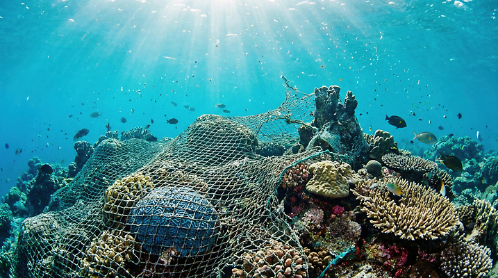 JPG 편집이미지 바다 자연 어류 환경 해저 수중 수영 수중동물 그물 산호초 보호 해산물 생태계 해양오염 해양쓰레기 편집실사 AI인물포토 AI콘텐츠 동물 컨셉 바닷속 수상스포츠 수중식물 환경오염 쓰레기 CG 파일형식 AI포토