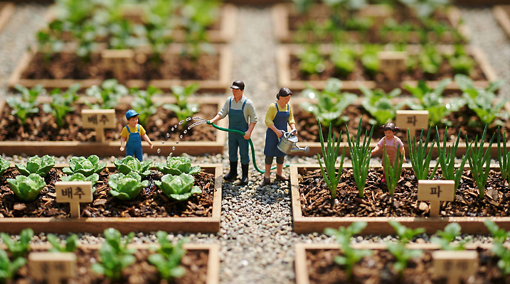 JPG 식물 편집이미지 어린이 채소 정원 농사 흙 성장 작업 농부 작음 배추 물주기 파 심기 이미지편집 AI컴퓨터그래픽 AI콘텐츠 직업 농업 모션 사람 크기 파일형식