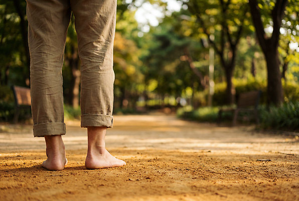 JPG 나무 편집이미지 공원 길 벤치 맨발 자연 날씨 사람 잔디 여름 햇빛 걷기 산책 오솔길 오후 의료성형뷰티 편집실사 AI인물포토 AI콘텐츠 식물 계절 공공시설 의자 모션 발 휴식 태양 CG 생태계 파일형식 AI포토