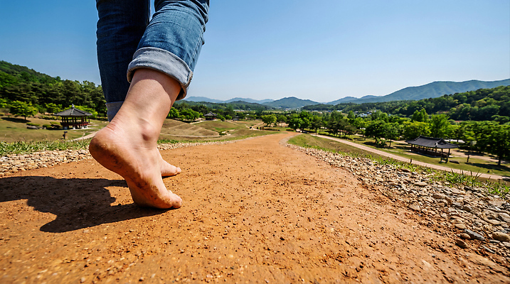 JPG 나무 편집이미지 맨발 자연 하늘 사람 풍경 여름 햇빛 걷기 환경 트래킹 자유 언덕 산길 순간 의료성형뷰티 편집실사 AI인물포토 AI콘텐츠 식물 계절 길 컨셉 모션 발 레저 태양 CG 생태계 파일형식 AI포토