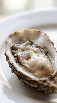 JPG 편집이미지 접시 음식 요리 해변 식당 레스토랑 식사 껍질 굴 신선 해조류 저녁 해산물 점심 회식 편집실사 AI포토 AI콘텐츠 식기 바다 어패류 상점 해양식물 야간 CG 파일형식