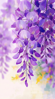 나무 식물 계절 길 컬러 눈_날씨 태양 생태계 파일형식 AI콘텐츠 보라색 꽃 자연 나뭇가지 햇빛 백그라운드 노란색 봄 뷰티풀 생명 미술관 정원 풍경 초록색 예술 눈길 국내일러스트 JPG 일러스트 AI일러스트