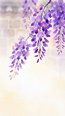 나무 식물 계절 꽃 컬러 날씨 휴식 내부 생태계 파일형식 AI콘텐츠 등나무 보라색 자연 뷰티풀 벽 흐림 꽃잎 여름 봄 정원 실내 야외 의식 산책 풍경 화초 국내일러스트 JPG 일러스트 AI일러스트