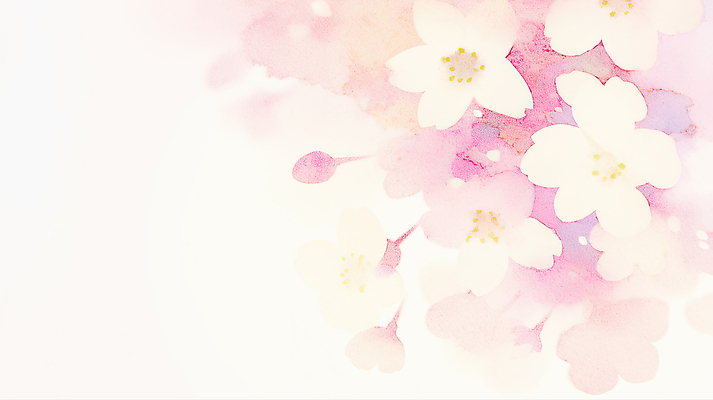 JPG 나무 식물 계절 꽃잎 꽃 여유 예술 백그라운드 일러스트 자연 꽃나무 풍경 봄 벚꽃 그림 화사함 감성 흐림 만개 뷰티풀 국내일러스트 AI일러스트 AI콘텐츠 감정 컨셉 날씨 생태계 파일형식