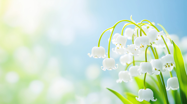 JPG 식물 편집이미지 계절 꽃 컬러 잎 자연 생명 빛 환경 정원 봄 성장 은방울꽃 뷰티풀 편집실사 AI컴퓨터그래픽 AI콘텐츠 CG 생태계 파일형식