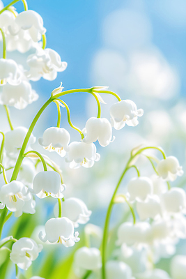 JPG 식물 편집이미지 꽃 백그라운드 꽃밭 자연 하늘 생명 여름 정원 봄 성장 은방울꽃 밝은색 뷰티풀 편집실사 AI컴퓨터그래픽 AI콘텐츠 계절 CG 생태계 파일형식