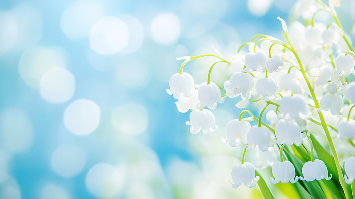 JPG 식물 편집이미지 꽃잎 꽃 줄기 백그라운드 자연 여름 파란색 정원 봄 향기 조화 은방울꽃 자태 편집실사 AI컴퓨터그래픽 AI콘텐츠 계절 컬러 CG 생태계 냄새 파일형식