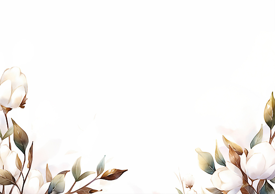 JPG 식물 디자인 꽃잎 꽃 컬러 백그라운드 잎 일러스트 자연 프레임 여름 봄 흰색 배열 오브젝트 그림 질감 심플 장면 화사함 목화꽃 뷰티풀 창의성 카피스페이스 국내일러스트 AI일러스트 AI콘텐츠 계절 컨셉 공백 생태계 파일형식