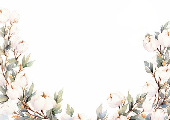 JPG 식물 디자인 계절 꽃 문화 예술 백그라운드 잎 일러스트 자연 프레임 장식 초록색 흰색 솜 그림 심플 부드러움 목화꽃 카피스페이스 국내일러스트 AI일러스트 AI콘텐츠 컬러 공백 감각 생태계 파일형식