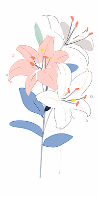 JPG 모양 식물 라이프스타일 디자인 꽃 예술 선 줄기 분홍색 컬러 백그라운드 잎 패턴 일러스트 자연 장식 흰색 백합 원예 뷰티풀 국내일러스트 AI일러스트 AI콘텐츠 무늬 취미 생활 생태계 파일형식