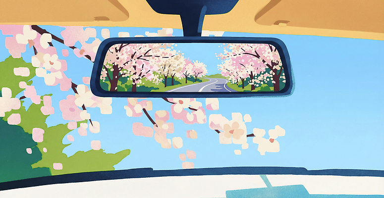 JPG 나무 꽃 도로 길 컬러 여행 백그라운드 일러스트 자동차 자연 하늘 풍경 일상 봄 거울 드라이브 운전 벚꽃 주행 자동차여행 국내일러스트 AI일러스트 AI콘텐츠 식물 계절 육상교통 교통시설 모션 라이프 생태계 파일형식