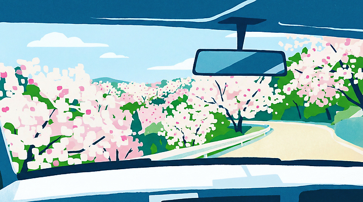 JPG 나무 꽃 도로 분홍색 여행 이동 일러스트 자동차 자연 휴식 산 거리 한국 사람 풍경 봄 드라이브 운전 벚꽃 방향 조경 창밖 자동차여행 국내일러스트 AI일러스트 AI콘텐츠 식물 계절 아시아 길 육상교통 컬러 컨셉 창문 교통시설 모션 생태계 파일형식