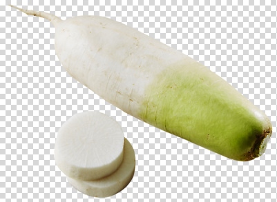 편집이미지 음식 채소 식재료 자연 건강 요리 농작물 수확 신선 무 레시피 비타민 식단 PNG 농업 뿌리채소 생태계 영양소 파일형식 산업