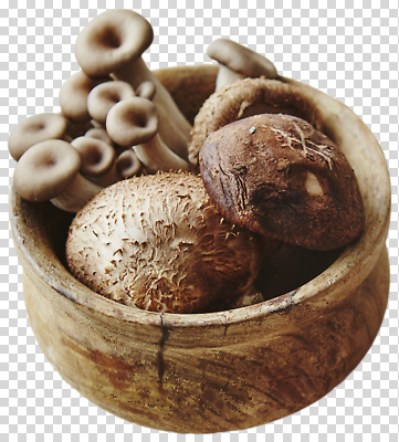 편집이미지 음식 채소 식재료 자연 요리 식사 버섯 신선 맛 준비 식단 건강식 PNG 나무그릇 그릇 컨셉 목재 생태계 파일형식 나무 식기 재료 식물