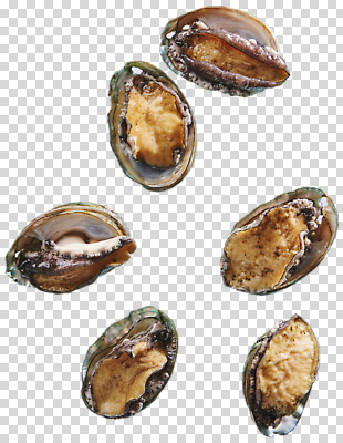 편집이미지 음식 바다 식재료 요리 해변 식사 수확 해산물 수공예 PNG 농업 공예 파일형식 산업 취미