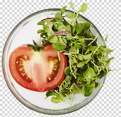 모양 편집이미지 접시 음료 음식 토마토 채소 재료 자연 요리 식사 샐러드 신선 크기 건강식 PNG 채소가게 식기 상점 생태계 파일형식