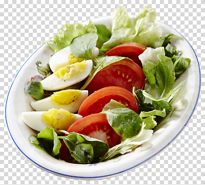 편집이미지 토마토 채소 계란 식사 샐러드 신선 저녁 상추 허브 점심 건강식 PNG 먹거리 식물 음식 알 밤 야간 파일형식 자연요소