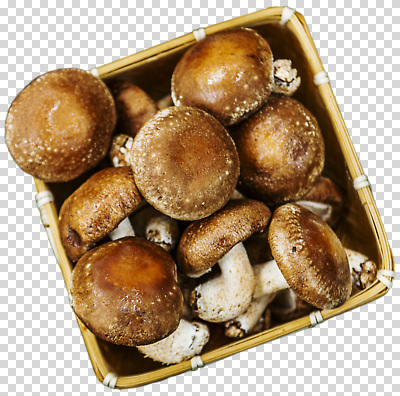 식물 편집이미지 음식 채소 재료 자연 건강 요리 농작물 바구니 버섯 수확 신선 레시피 PNG 농업 생태계 파일형식 산업