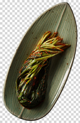 편집이미지 접시 음식 채소 재료 반찬 김치 한국 건강 요리 식사 양념 맛 준비 파 PNG 다듬기 식기 아시아 한식 컨셉 모션 파일형식 나라