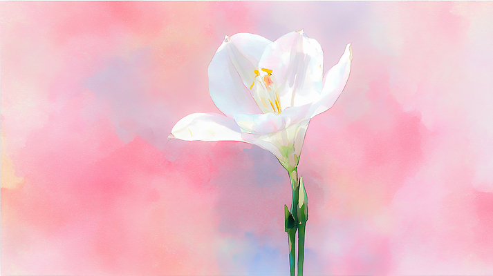 JPG 식물 디자인 꽃 예술 줄기 분홍색 컬러 백그라운드 잎 일러스트 자연 생명 정원 봄 흰색 중앙 장면 화사함 조화 뷰티풀 소프트 국내일러스트 AI일러스트 AI콘텐츠 계절 컨셉 생태계 파일형식