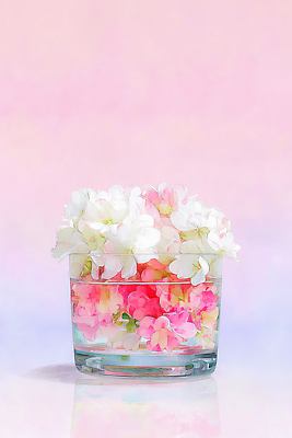 JPG 식물 디자인 꽃 화초 예술 분홍색 컬러 백그라운드 일러스트 자연 생명 장식 장미 정원 꽃병 보라색 봄 식물원 화사함 유리그릇 뷰티풀 국내일러스트 AI일러스트 AI콘텐츠 그릇 계절 컨셉 유리 생태계 파일형식