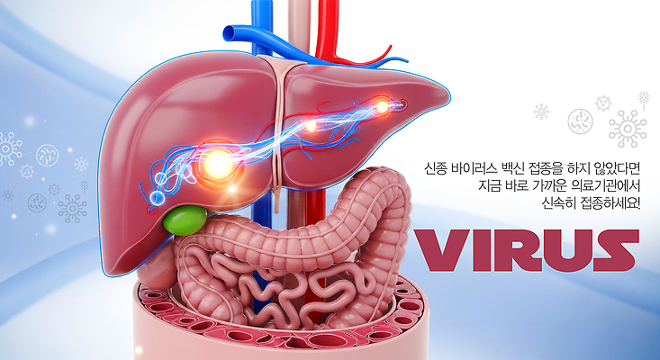 편집이미지 교육 의학 도움 장기_의학 파일형식 간 장 구출 혈관 바이러스 예방 건강 정보 신체 생물학 질병 면역력 학습 이미지편집 PSD