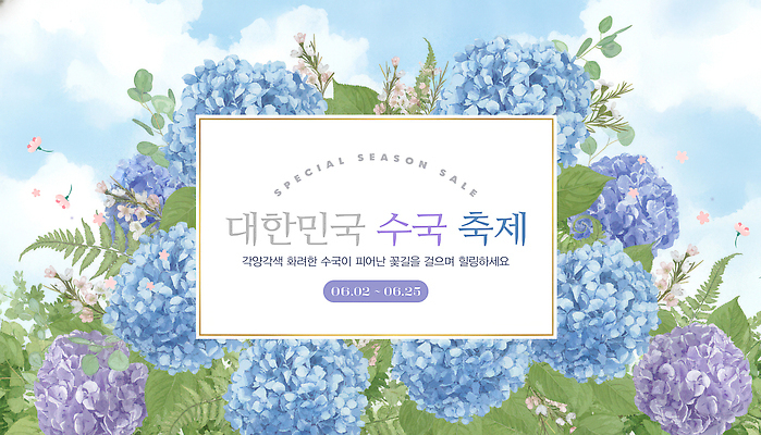 식물 편집이미지 계절 꽃 아시아 축제 날짜 생태계 꽃축제 파일형식 수국 이벤트 한국 세일 화환 6월 여름 자연 지역 여행 뷰티풀 PSD 봄 수국축제 이미지편집