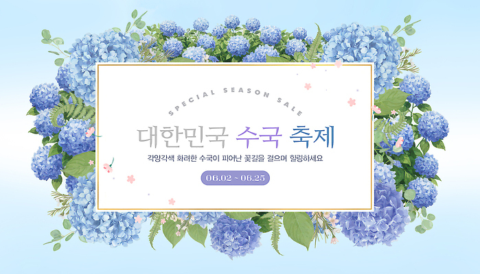 식물 편집이미지 계절 꽃 아시아 컨셉 축제 날짜 생태계 꽃축제 파일형식 한국 수국 6월 화려 이벤트 방문객 자연 컬러 여름 PSD 봄 수국축제 이미지편집