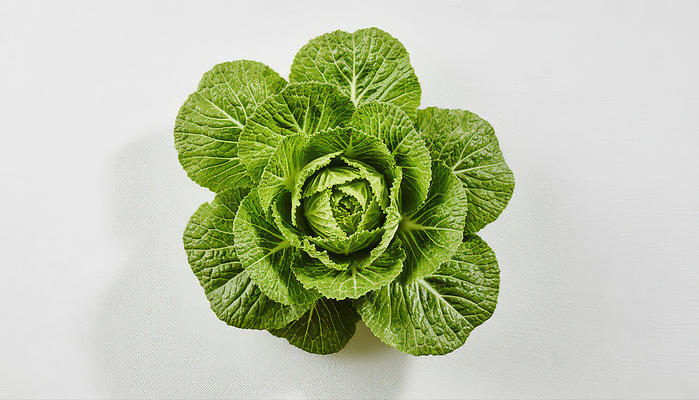 JPG 편집이미지 채소 재료 자연 식탁 건강 요리 초록색 농장 주방 식사 샐러드 신선 준비 봄동 편집실사 AI포토 음식 컬러 농업 탁자 CG 생태계 파일형식 AI콘텐츠