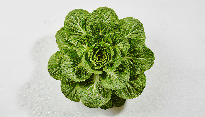 JPG 편집이미지 한식 채소 식재료 식탁 요리 농작물 샐러드 신선 배추 정리 건강식 신선도 봄동 편집실사 AI포토 음식 농업 탁자 CG 파일형식 AI콘텐츠