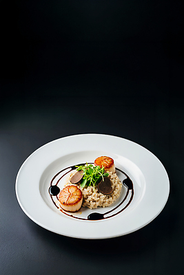 JPG 편집이미지 접시 음식 재료 요리 식사 저녁식사 맛 저녁 허브 프레젠테이션 해산물 레시피 가리비 리조또 편집실사 파인다이닝 AI포토 AI콘텐츠 식물 식기 컨셉 조개 레스토랑 야간 CG 파일형식