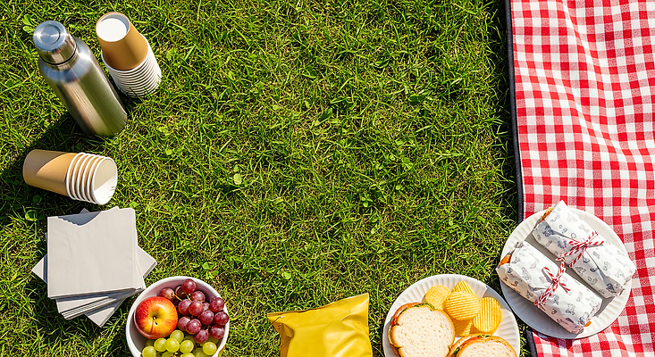 JPG 편집이미지 그릇 공원 음료 음식 과일 가족 디저트 샌드위치 잔디 야외 여름 소풍 담요 편집실사 AI포토 AI콘텐츠 식물 식기 계절 공공시설 관계 야외활동 CG 파일형식