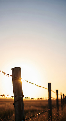 JPG 편집이미지 자연 하늘 풍경 초원 울타리 햇빛 농장 일몰 공간 사막 기둥 시간 저녁 긍정 철조망 편집실사 AI포토 AI콘텐츠 건축 컨셉 농업 담장 태양 노을 야간 CG 생태계 파일형식
