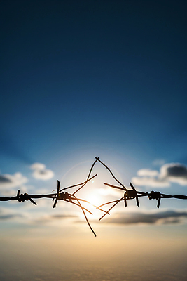 JPG 편집이미지 자연 하늘 그림자 풍경 빛 태양 일출 환경 대기 비교 경계 지평선 철조망 철제 편집실사 AI포토 AI콘텐츠 자연요소 컨셉 노을 CG 생태계 파일형식