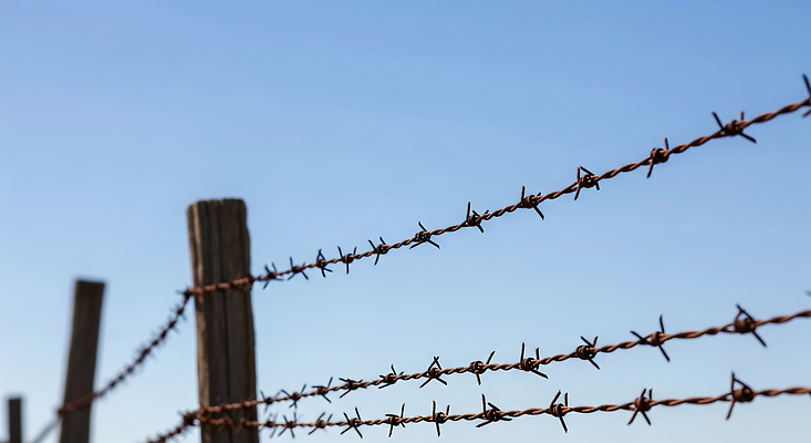 JPG 주간 편집이미지 자연 하늘 풍경 야외 목재 울타리 농장 농촌 시골 구조물 철조망 편집실사 AI포토 AI콘텐츠 자연요소 나무 건축 농업 재료 담장 CG 생태계 파일형식