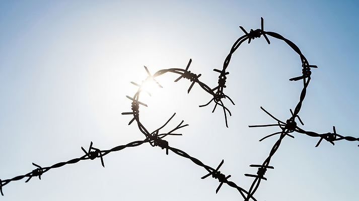 JPG 모양 편집이미지 디자인 예술 상징 백그라운드 자연 하늘 조명 사랑 야외 장식 햇빛 하트 철조망 편집실사 AI포토 AI콘텐츠 감정 태양 CG 생태계 파일형식