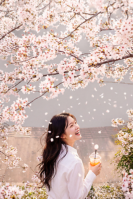 JPG 나무 편집이미지 공원 여자 꽃잎 음료 자연 바람 한국 웃음 풍경 햇빛 봄 벚꽃 신선 만개 의료성형뷰티 편집실사 AI인물포토 AI콘텐츠 자연요소 식물 계절 공공시설 꽃 아시아 날씨 표정 사람 태양 CG 생태계 파일형식 AI포토