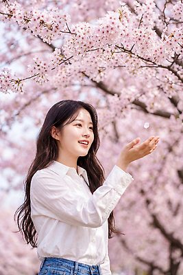 JPG 나무 편집이미지 손 여자 꽃잎 분홍색 자연 날씨 웃음 풍경 손짓 야외 봄 벚꽃 만개 뷰티풀 의료성형뷰티 편집실사 AI인물포토 AI콘텐츠 식물 계절 꽃 컬러 모션 표정 사람 신체부위 CG 생태계 파일형식 AI포토