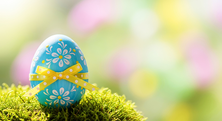 JPG 편집이미지 기념일 꽃 리본 컬러 백그라운드 자연 부활절 장식 파란색 빛 계란 축제 생일 부활절계란 편집실사 AI컴퓨터그래픽 AI콘텐츠 식물 이벤트 알 CG 생태계 파일형식