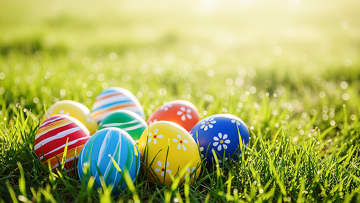 JPG 편집이미지 전통 컬러 가족 자연 놀이 부활절 잔디 야외 장식 햇빛 계란 축제 봄 부활절계란 찾기 편집실사 AI컴퓨터그래픽 AI콘텐츠 식물 계절 기념일 관계 모션 태양 알 CG 생태계 파일형식