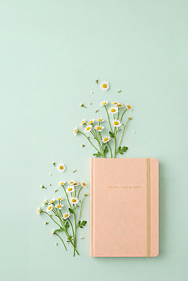 JPG 식물 편집이미지 디자인 꽃 예술 분홍색 백그라운드 자연 문구용품 일상 장식 공책 꿈 계획 민트색 창작 편집실사 AI포토 AI콘텐츠 컬러 컨셉 라이프 CG 오브젝트 생태계 파일형식