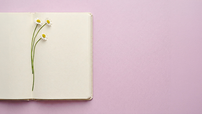 JPG 식물 편집이미지 디자인 꽃 예술 자연 문구용품 일상 학습 독서 보라색 공책 기록 편집실사 AI포토 AI콘텐츠 교육 컬러 라이프 CG 오브젝트 생태계 파일형식