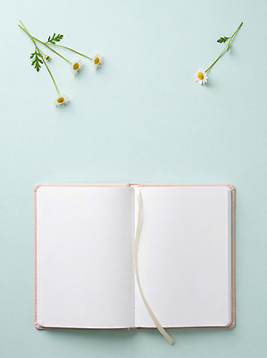 JPG 편집이미지 꽃 백그라운드 생각 자연 문구용품 사무용품 공책 기록 작업 일기 준비 정리 들국화 창의성 편집실사 AI포토 AI콘텐츠 식물 CG 오브젝트 생태계 파일형식